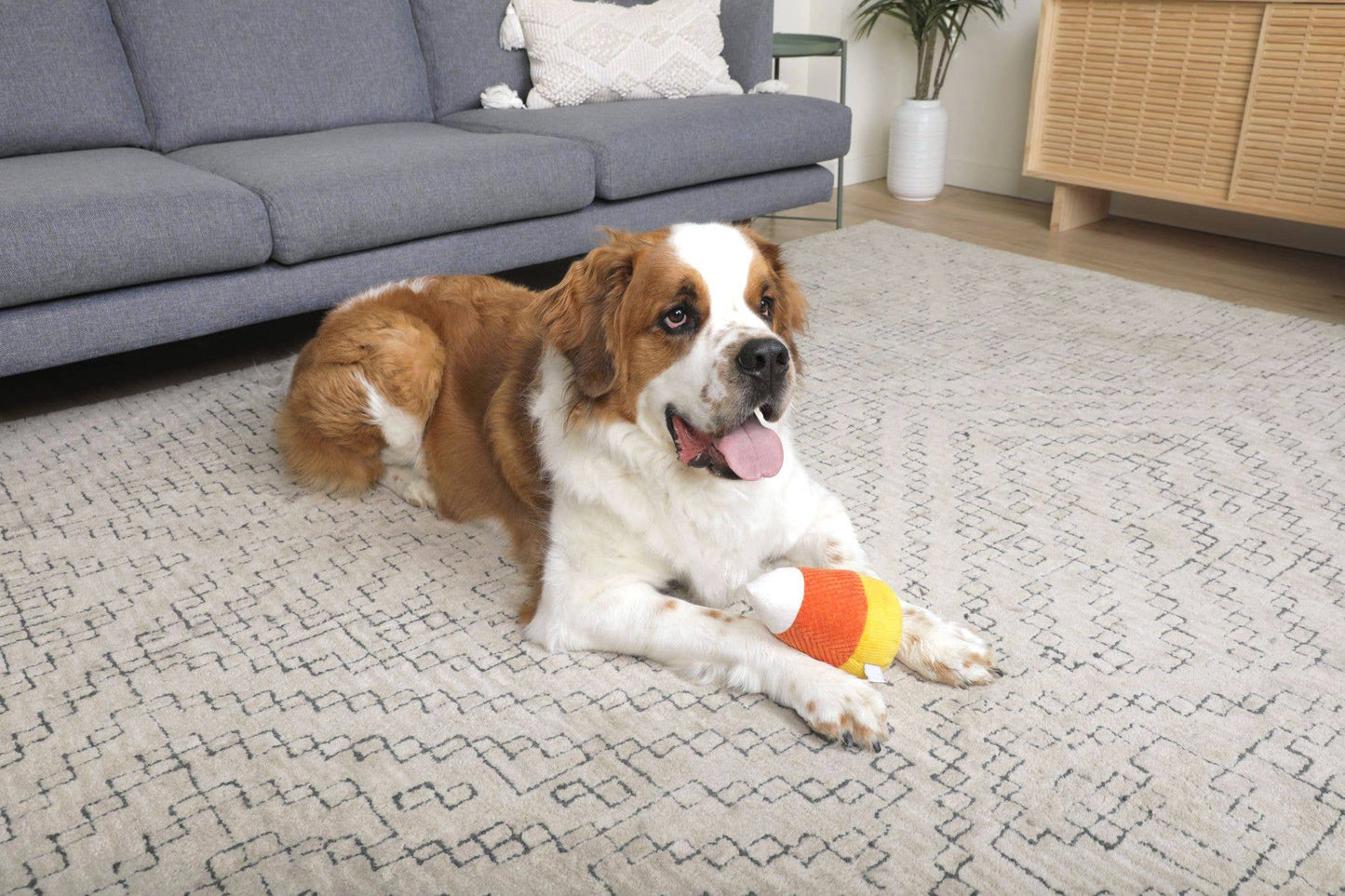 Midlee Plush Candy Corn Dog Toy- Set of 2