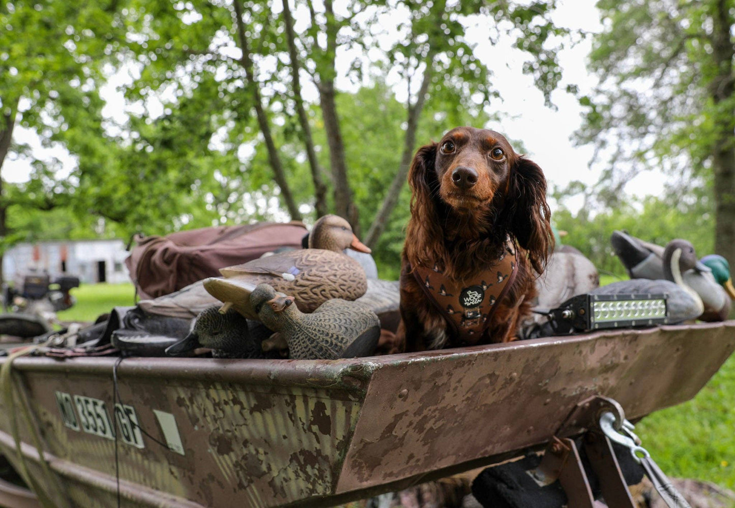 Adjustable Dog Harness - DUCK HUNTING DOG