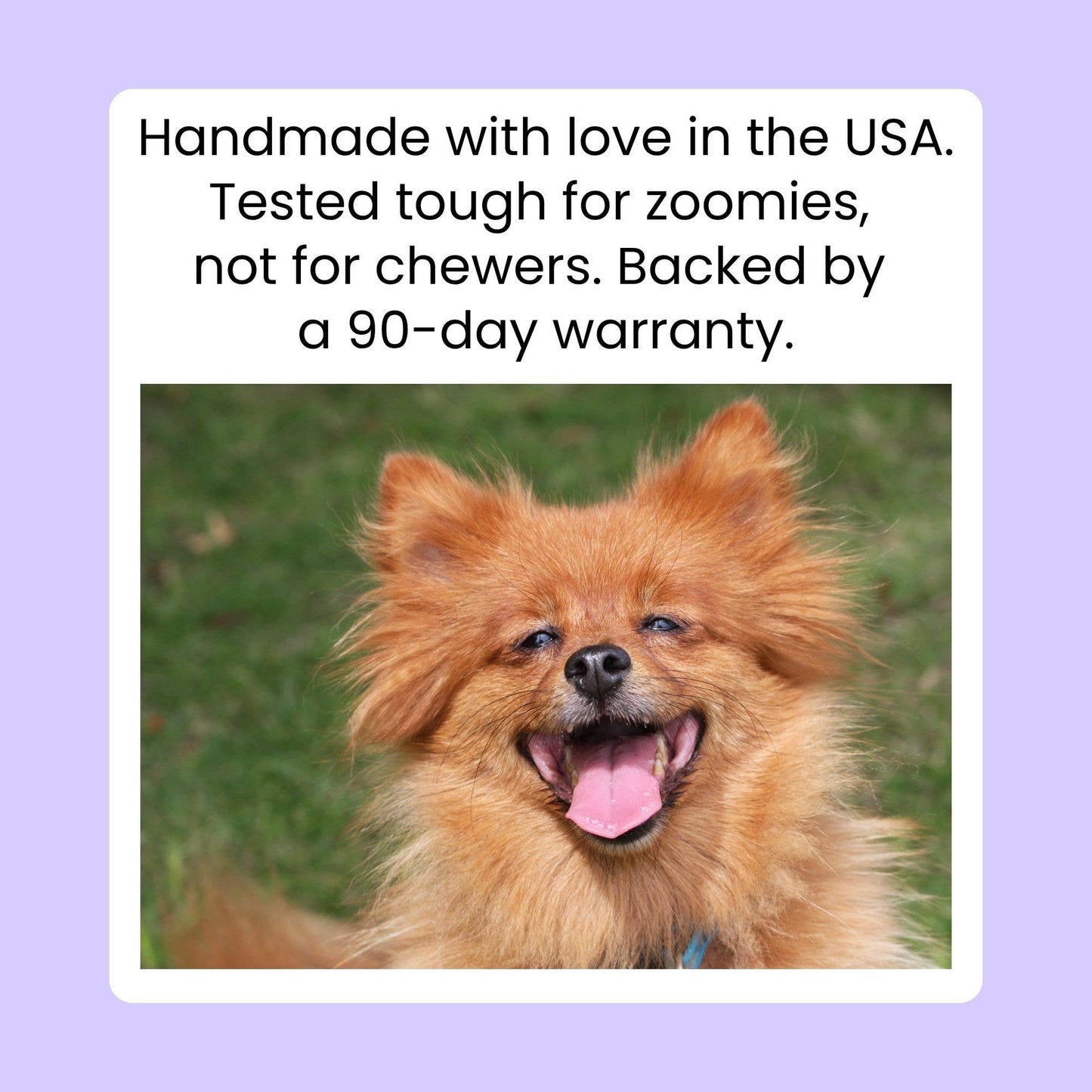 Holiday Dog Collar Charm - Too Cute for the Naughty List