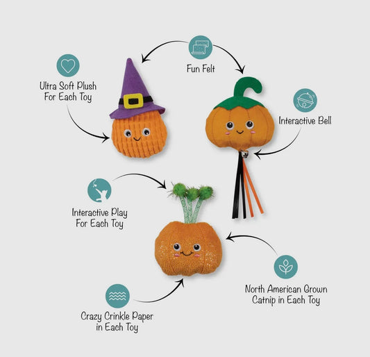 Witch of the Patch Cat Toy Set