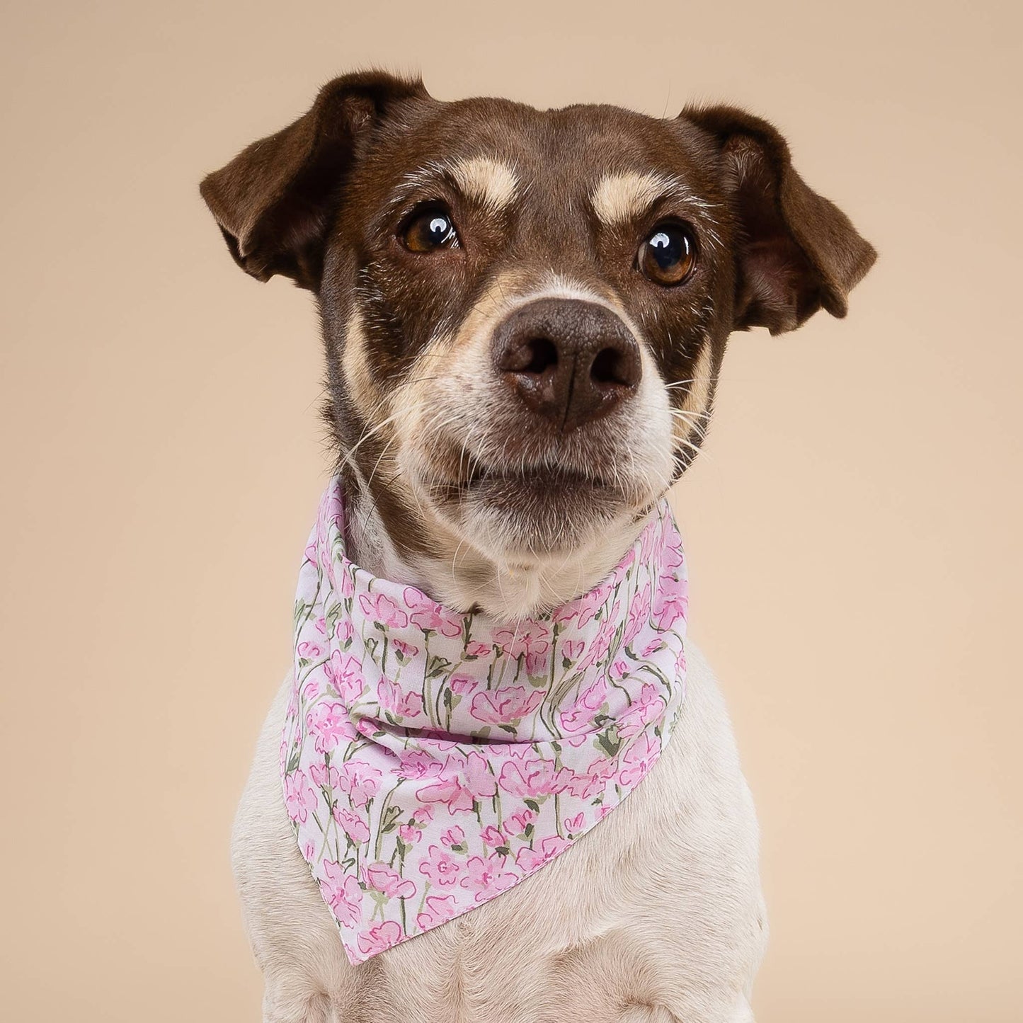 Azelia Flower Dog Bandana
