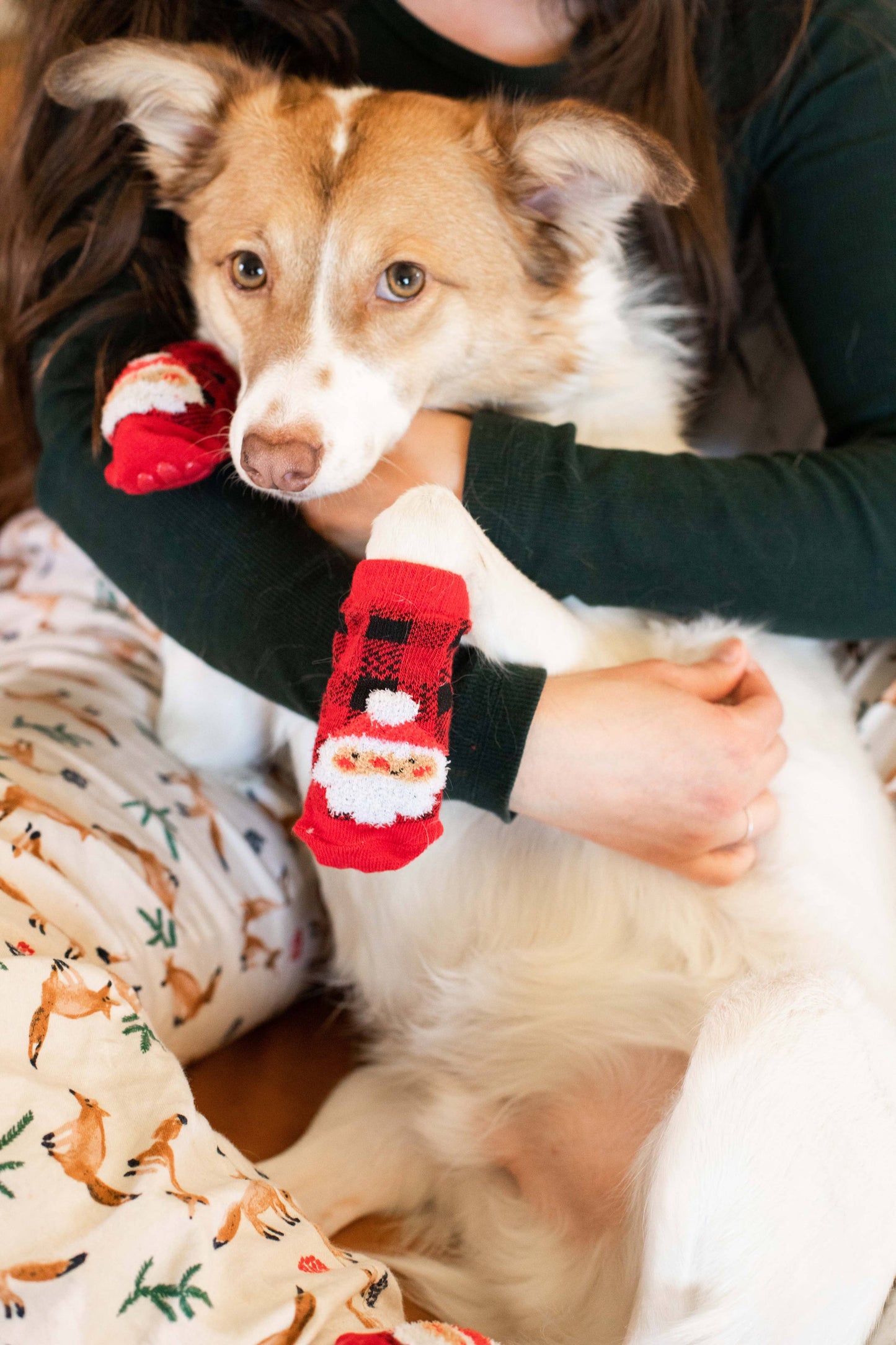 Santa Dog and Human Matching Christmas Sock Set