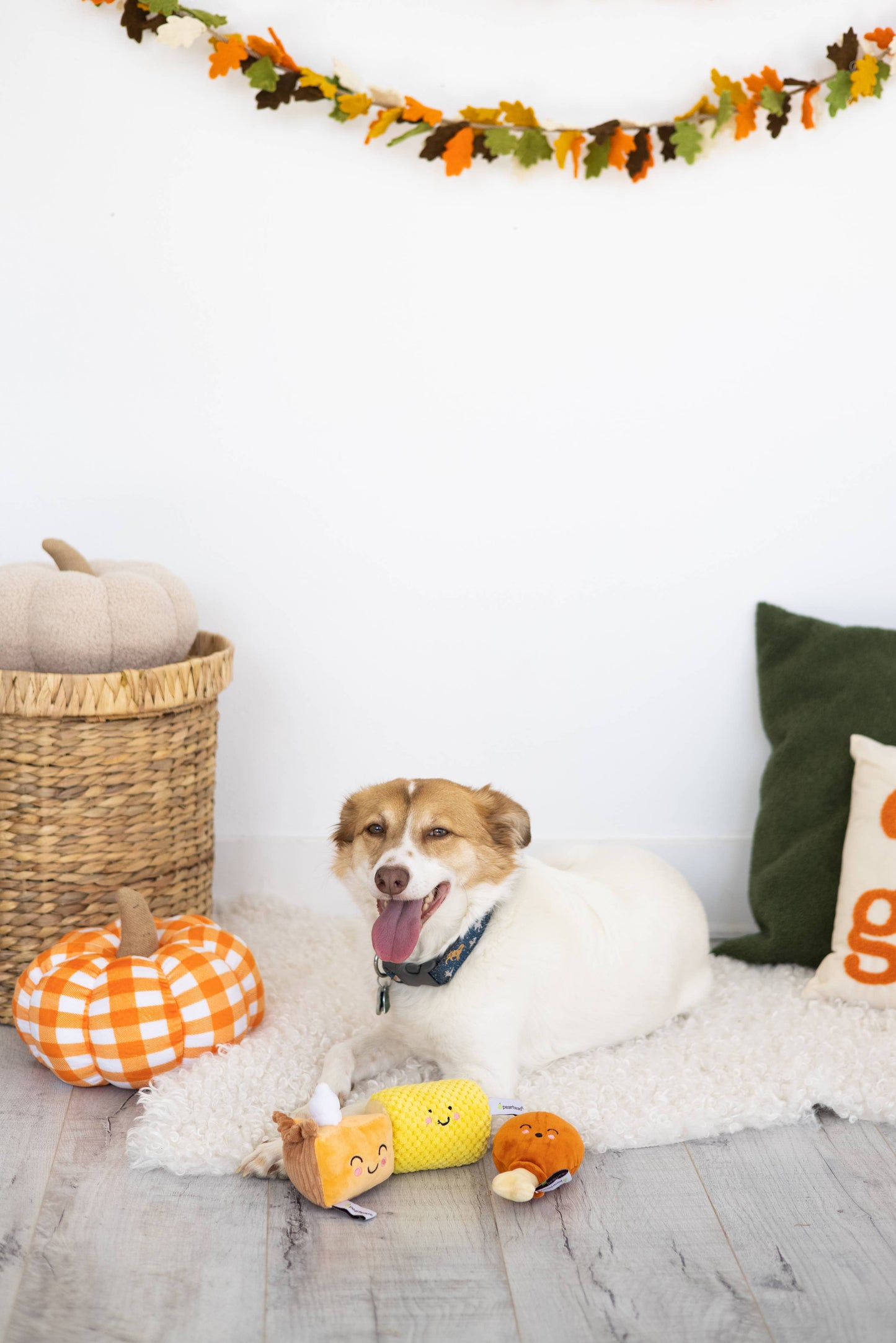 Pearhead Thanksgiving Dinner Dog Toy Set
