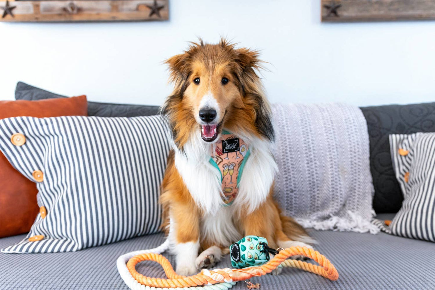Dog Rope Leash - Honeydew