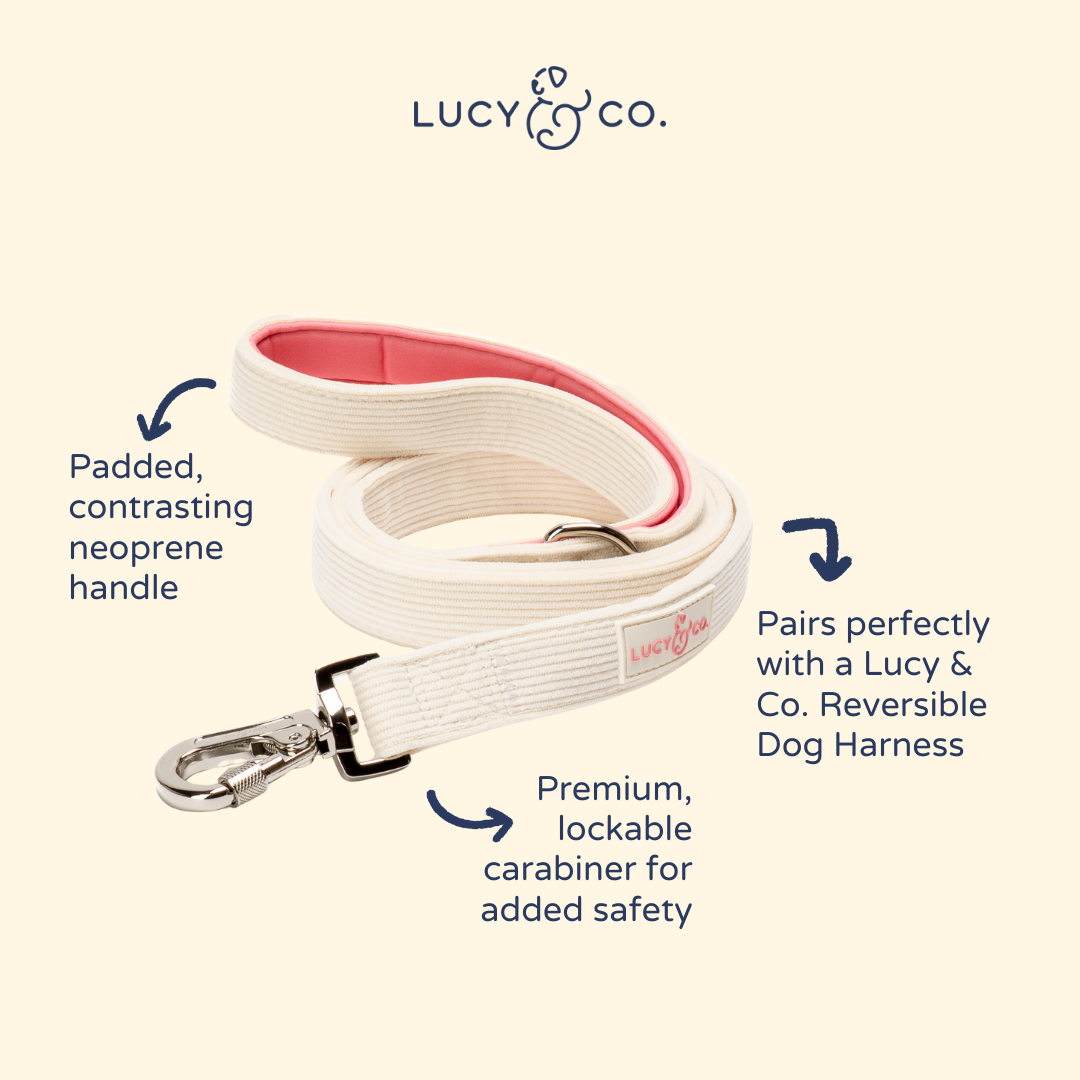 Ever So Sweet Corduroy Leash