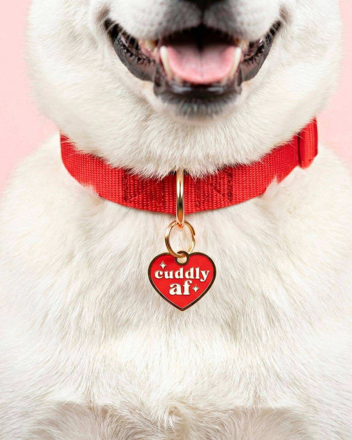 Gold Enamel Dog Tag w/ Scannable ID - Cuddly AF Charm