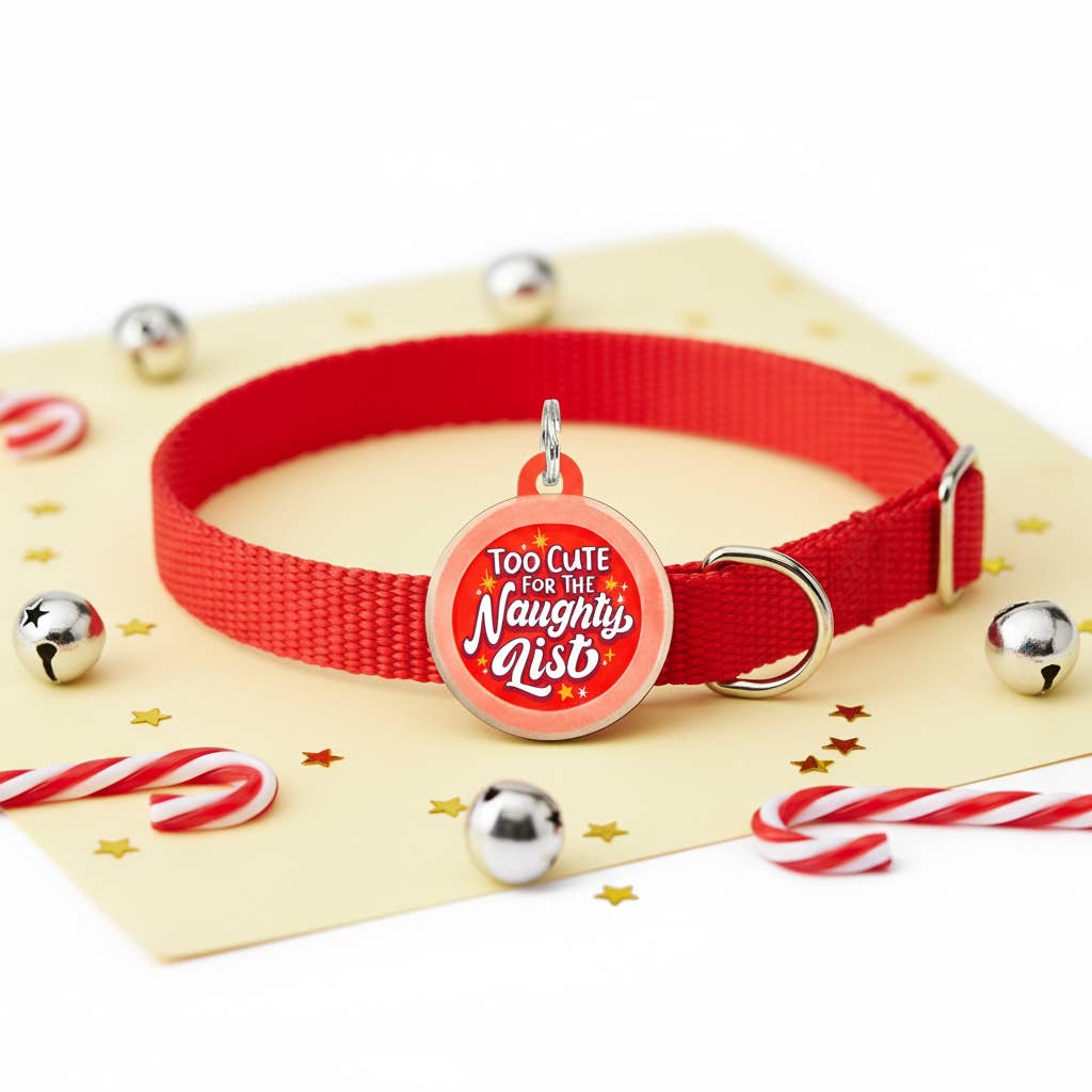Holiday Dog Collar Charm - Too Cute for the Naughty List