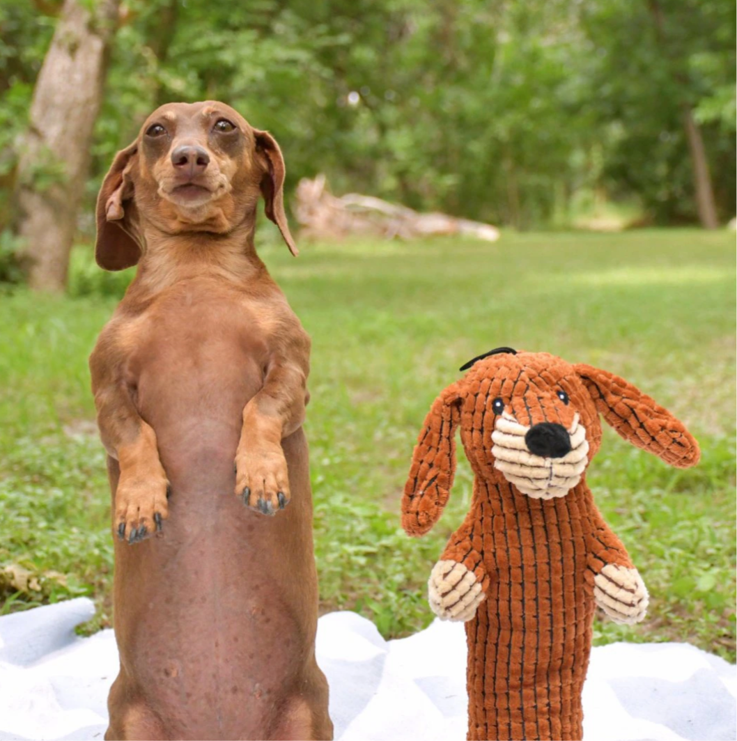 The Weens - Meerkat Pro Toy