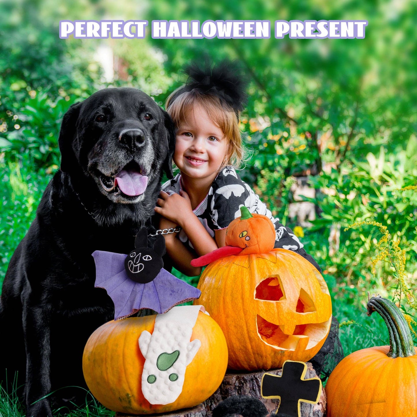 Nocciola 5 PCS Halloween Crinkle Dog Squeaky Toys