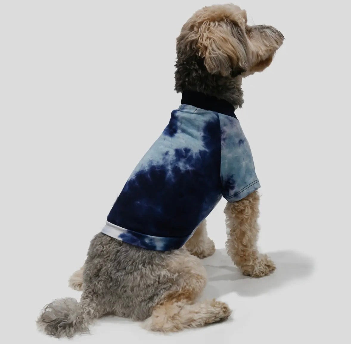 Hand Tie Dye Doggy Tee - Indigo/Dusty Blue