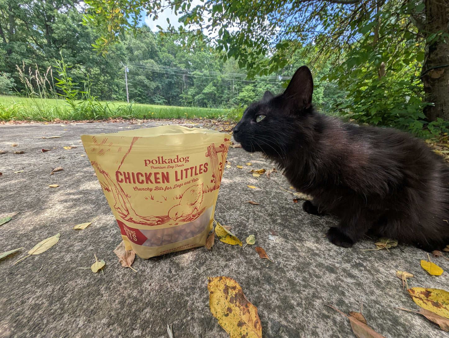 Chicken Littles Training Bits - 7oz - Dog & Cat Treats