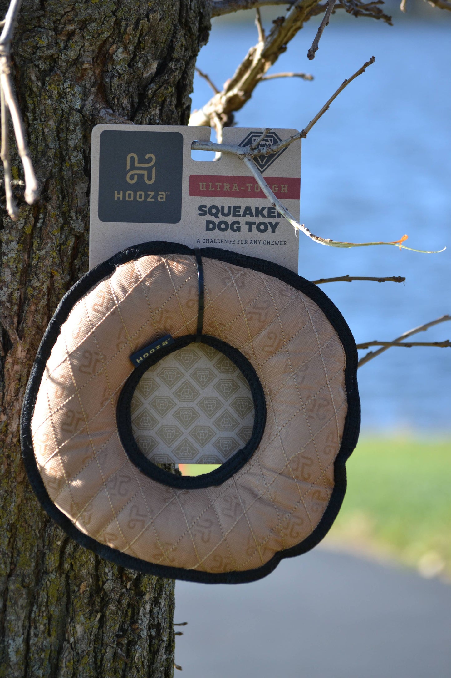 Hooza Ring