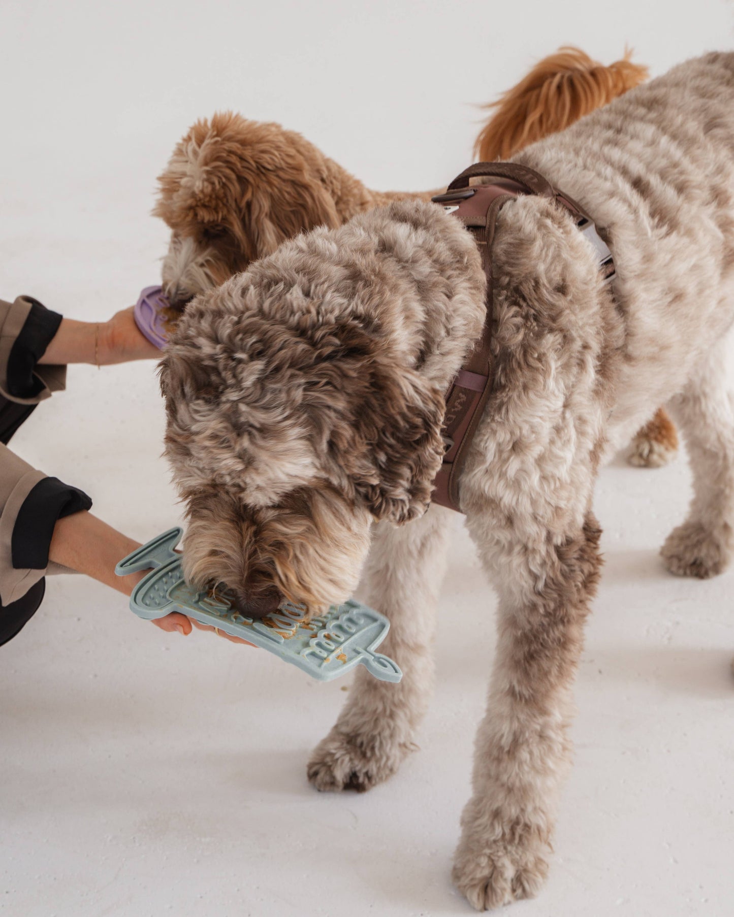 Barkday Bash Enrichment Lick Mat