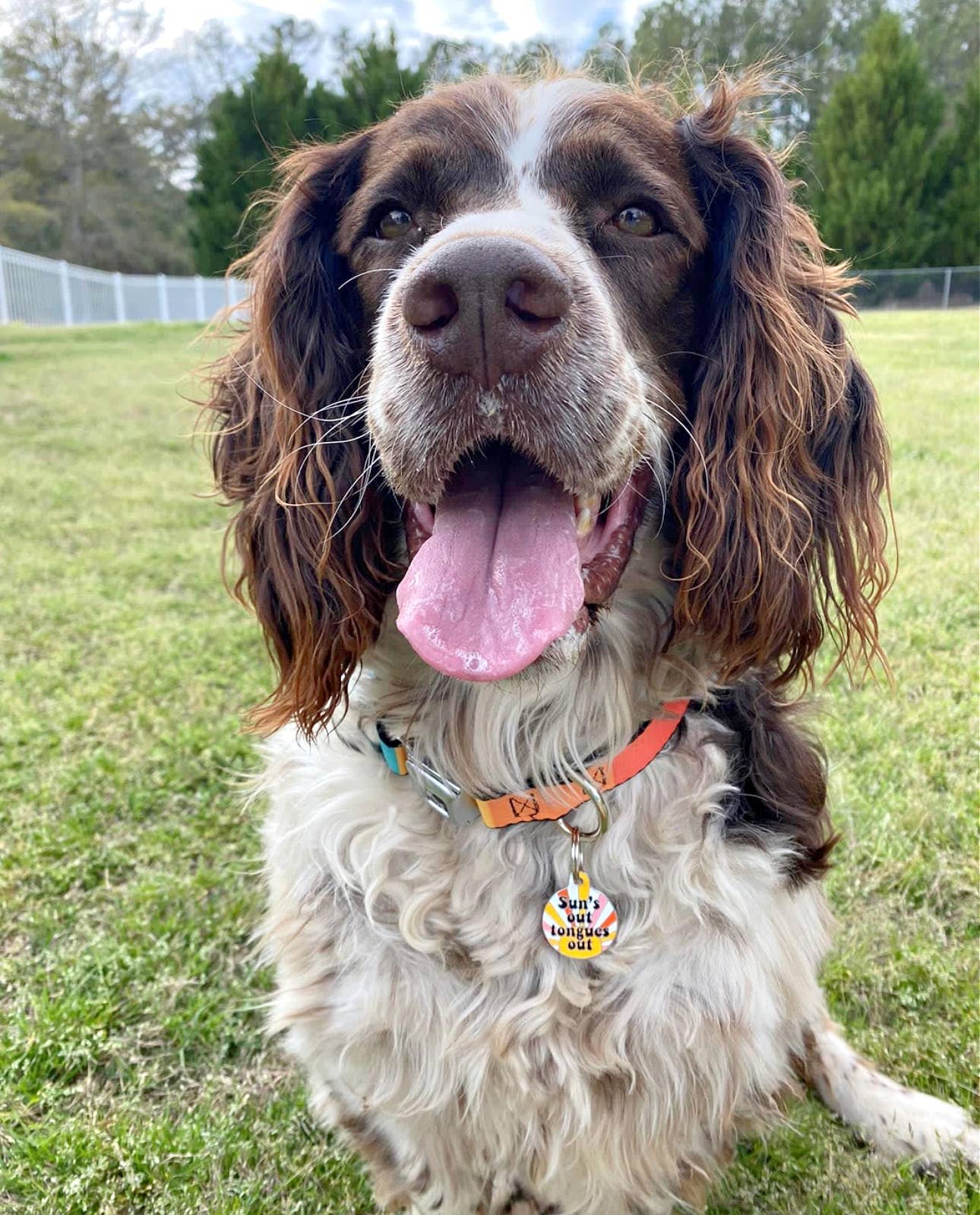 Dog Tag Collar Charm - Suns Out Tongues Out - QR Code