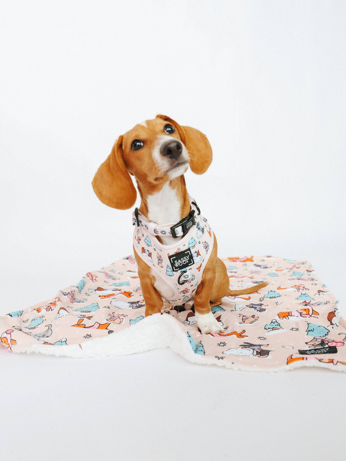 Dog Collar - Weenie Wonderland