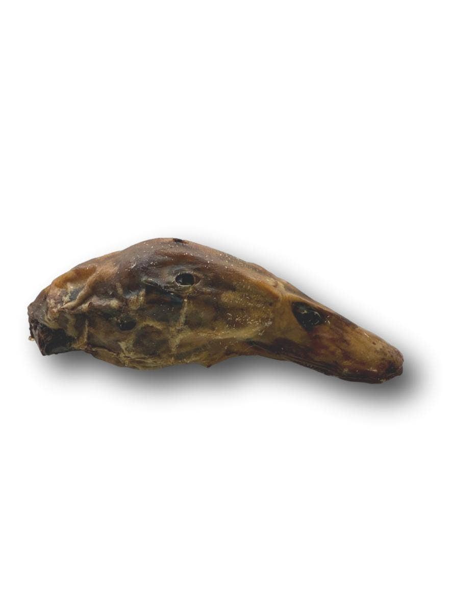 Duck Head (DU0101DH)