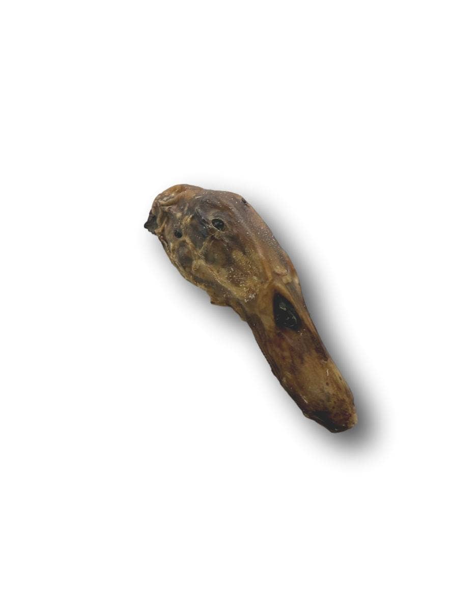 Duck Head (DU0101DH)