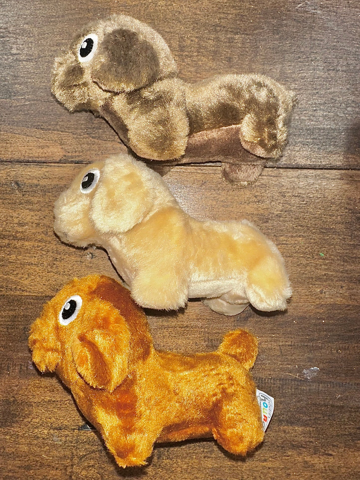 Assorted Mini Dachshund Squeaky Dog Toys