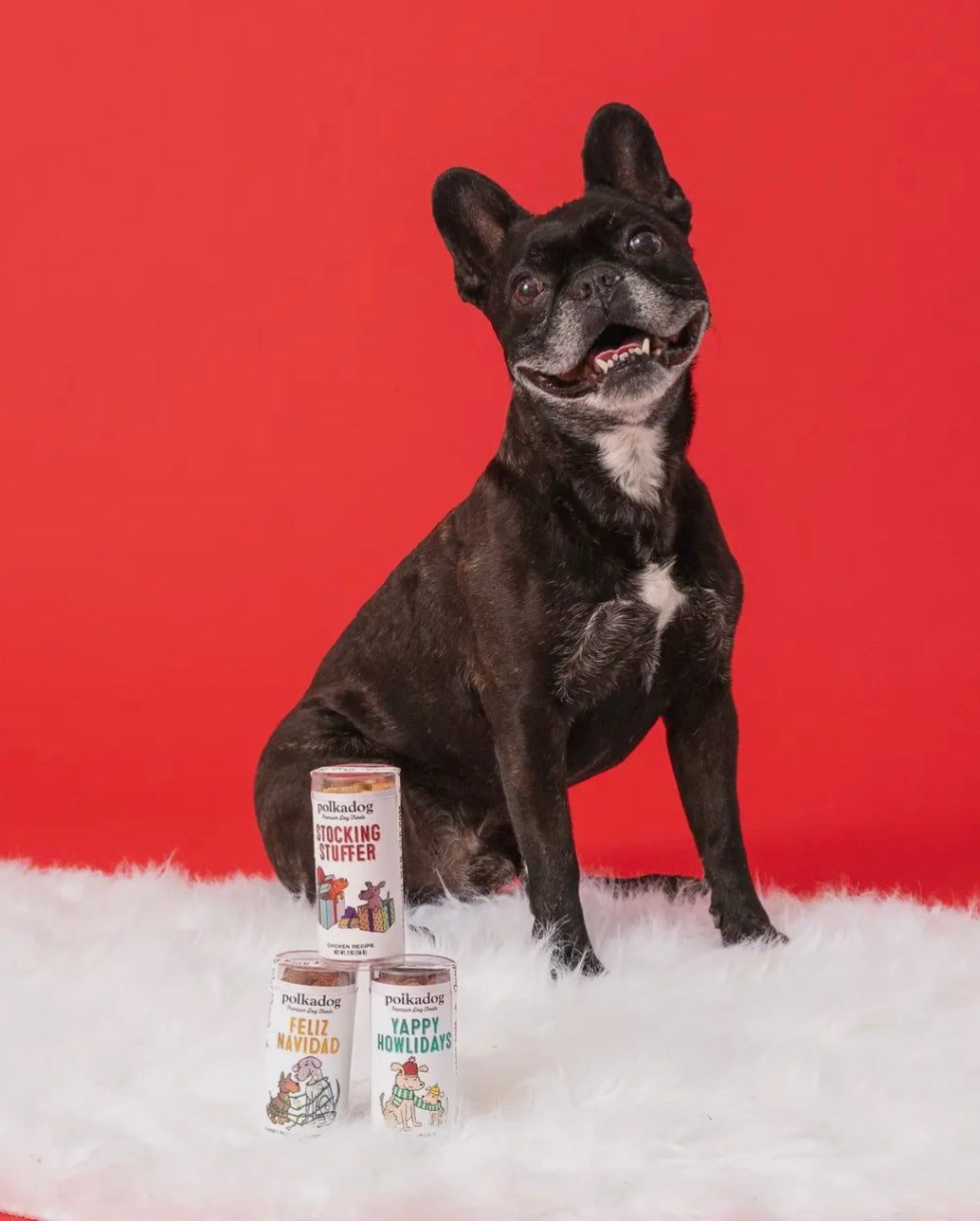 Holiday Mini Tube: Feliz Navidad - Dog Treats