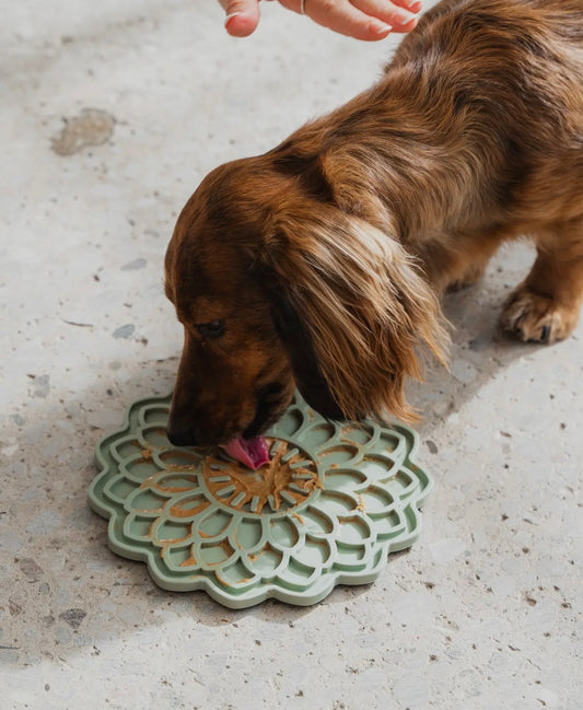 Blooming Blossom Enrichment Lick Mat