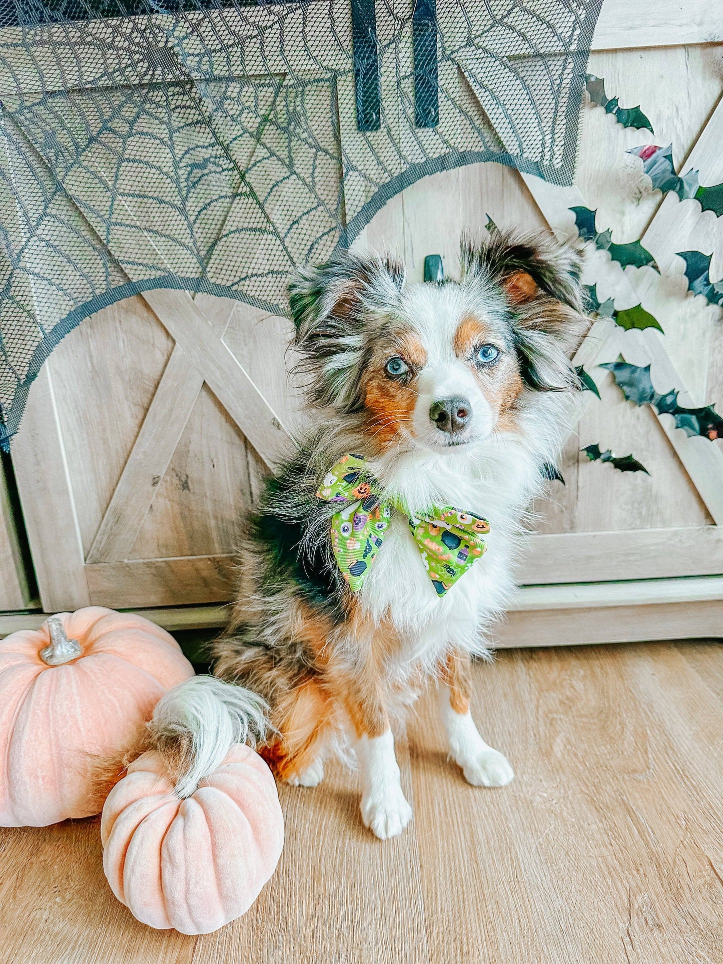 Dog Sailor Bow - Haunt Mess