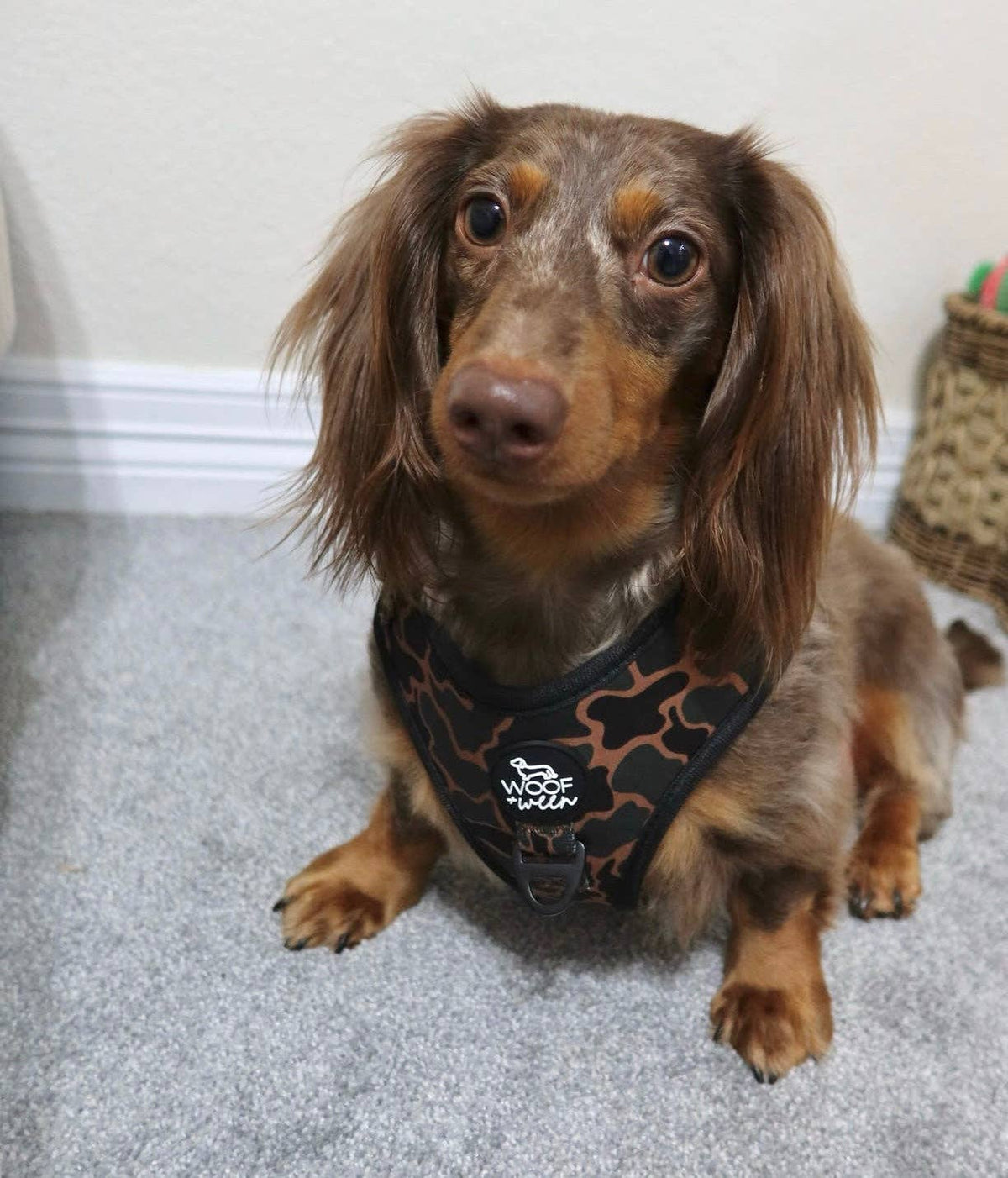 Adjustable Dog Harness - BLACK DUCK CAMO