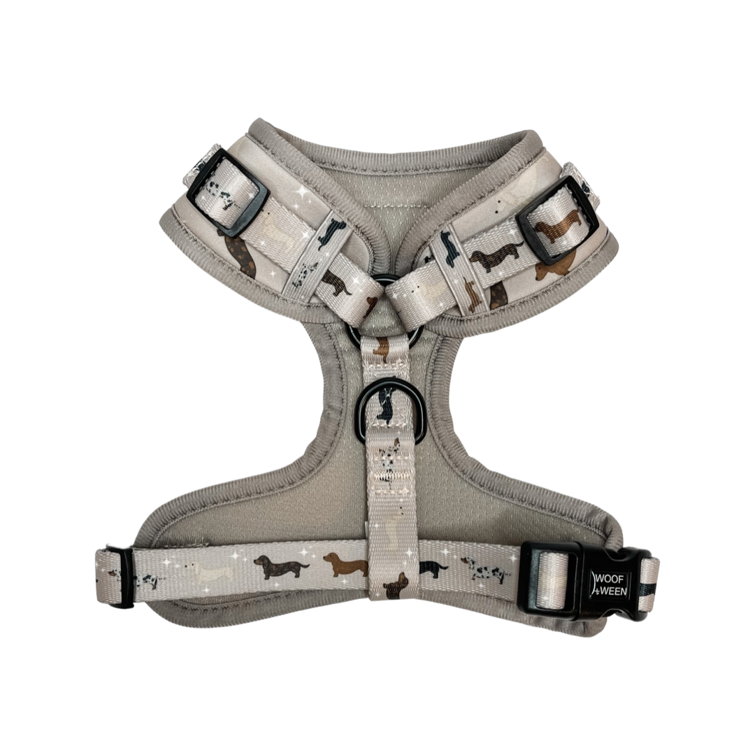 Adjustable Harness - WHIMSICAL WEENS