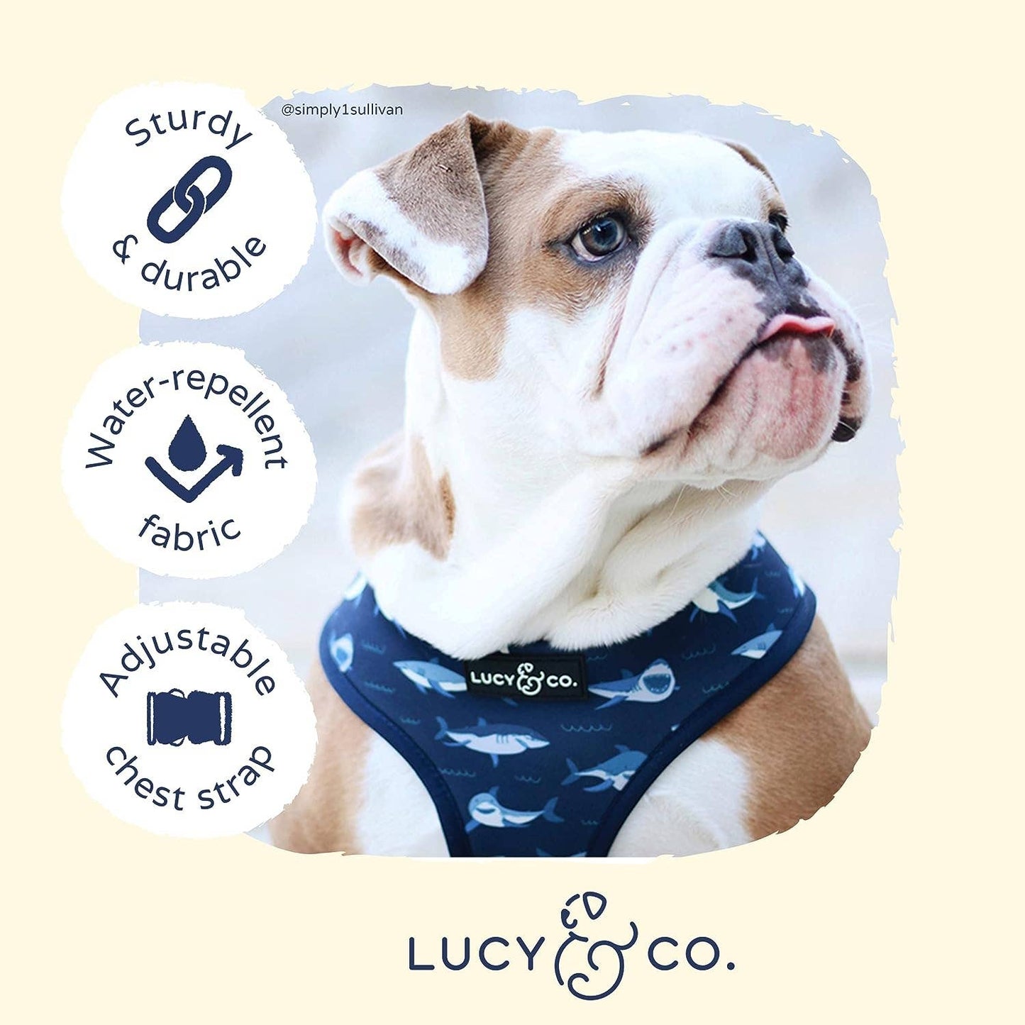 Shark Attack Reversible Harness