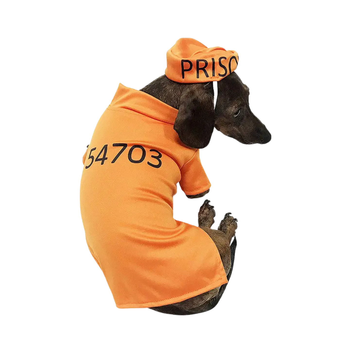 Orange Prisoner Dog Costume