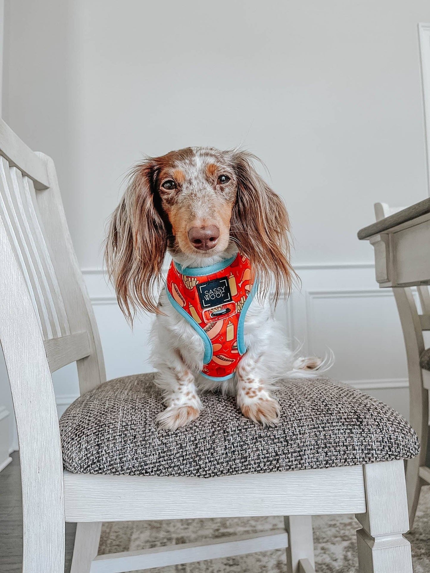 Dog Reversible Harness - One Hot Pupperoni