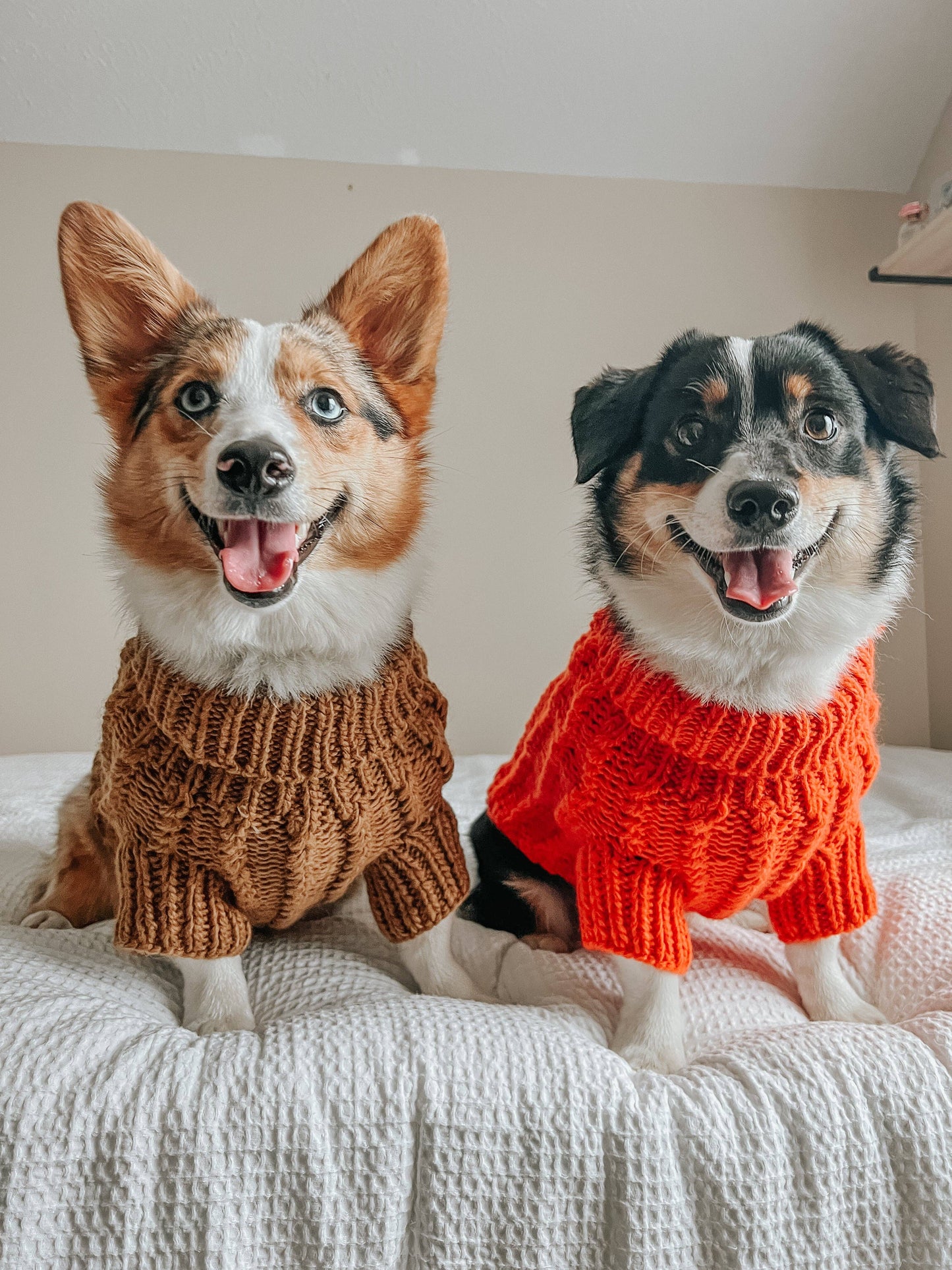 Pet Cable Knit Sweater - Brown