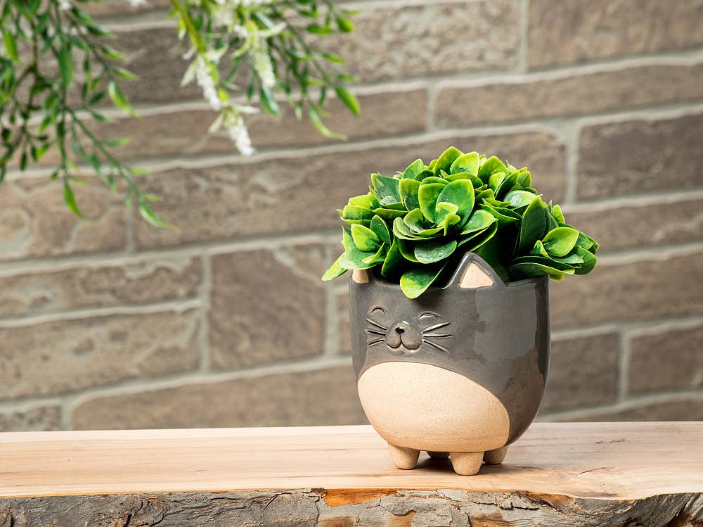 Large Cat on Legs Planter - 5"H