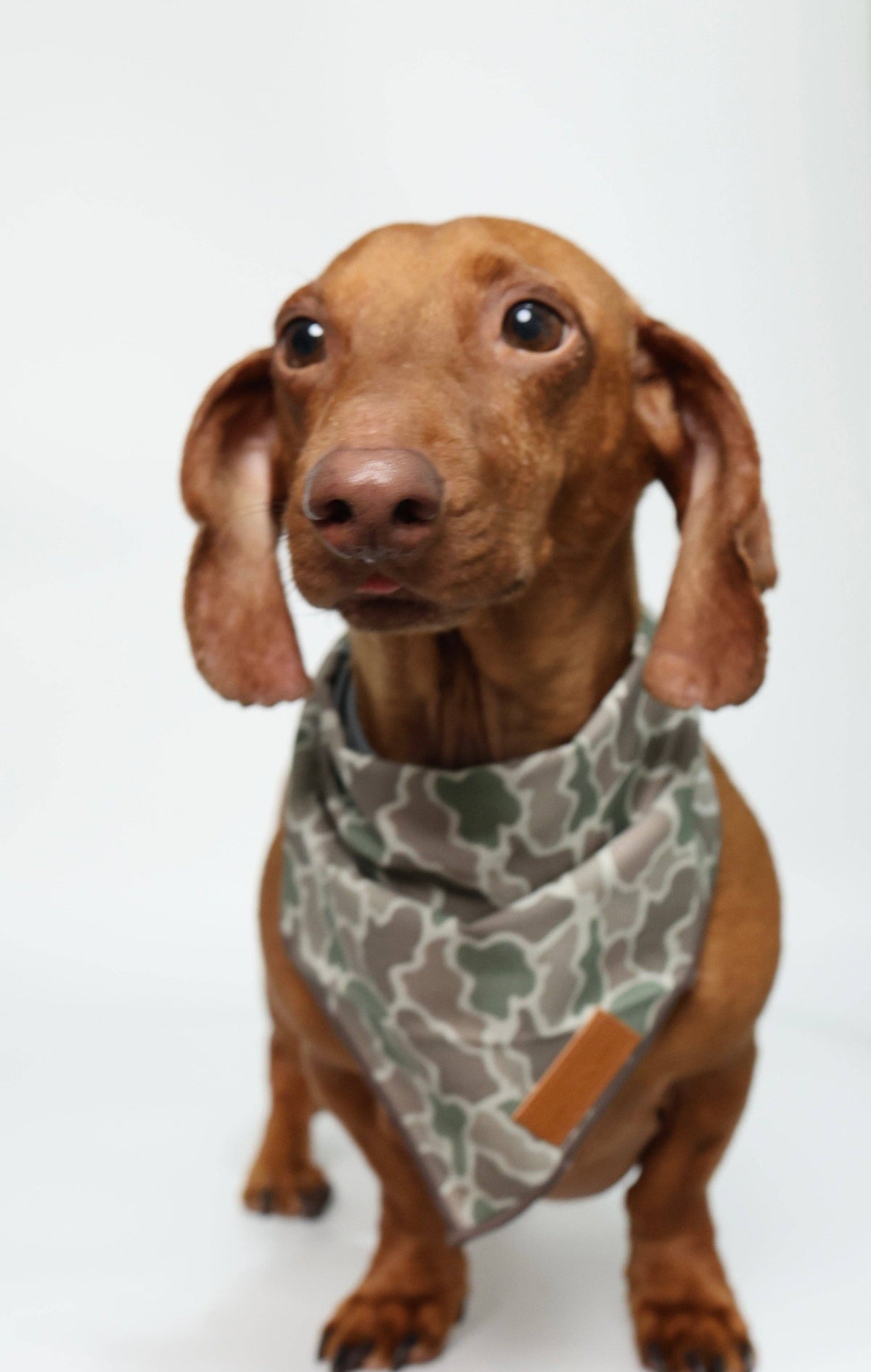 Dog Bandana - Duck Camo