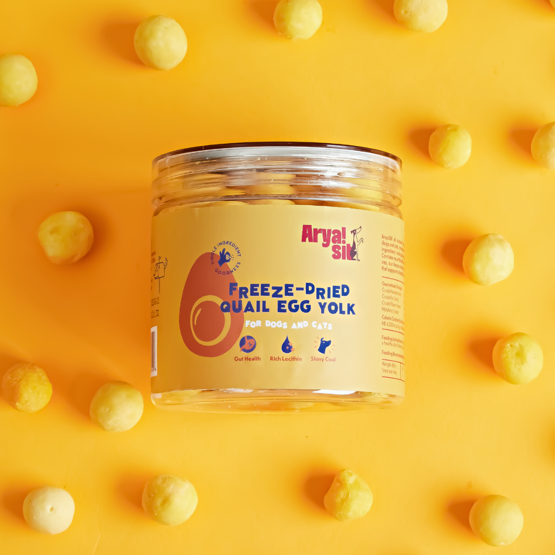Freeze-Dried Egg Yolk