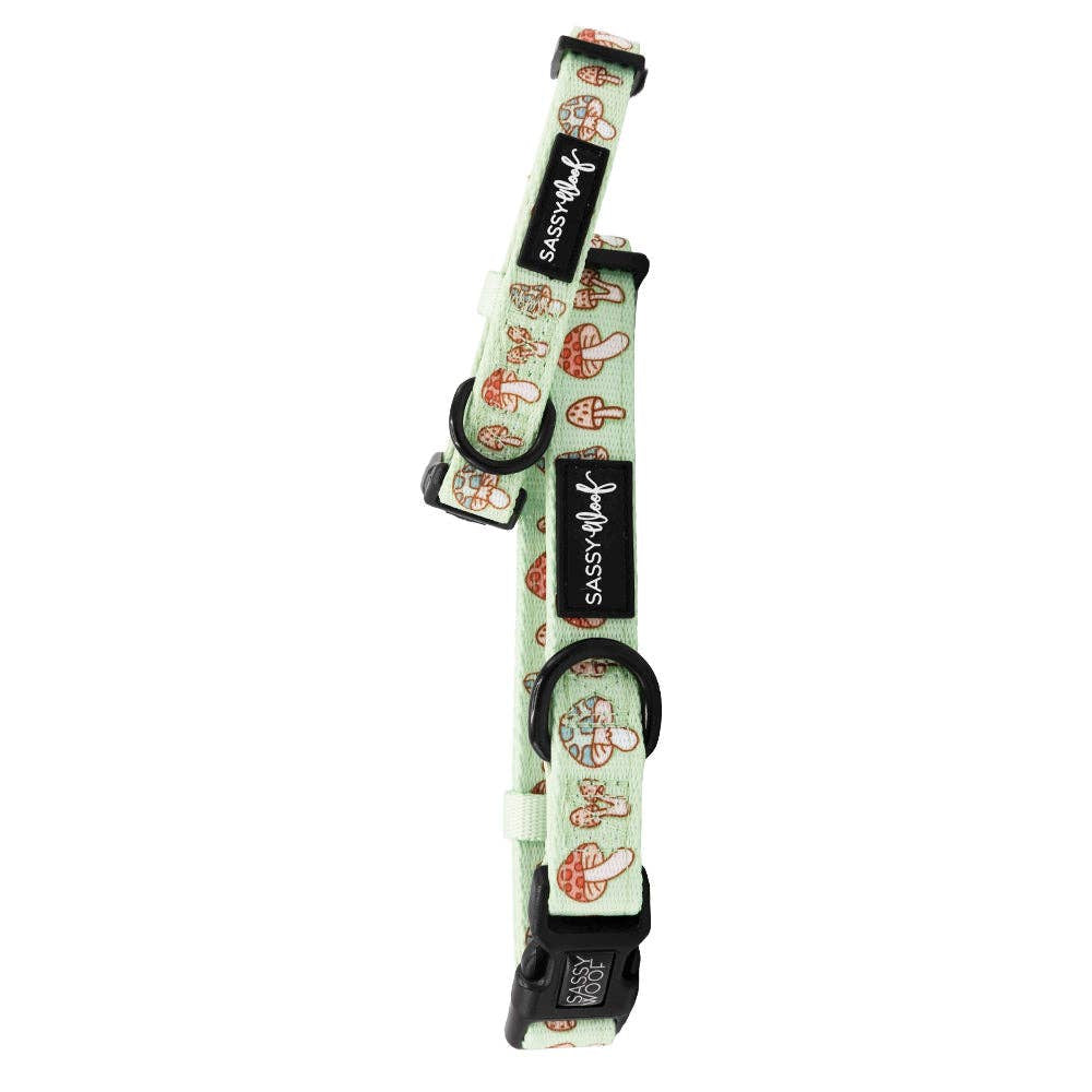 Dog Collar - Shrooms & Blooms