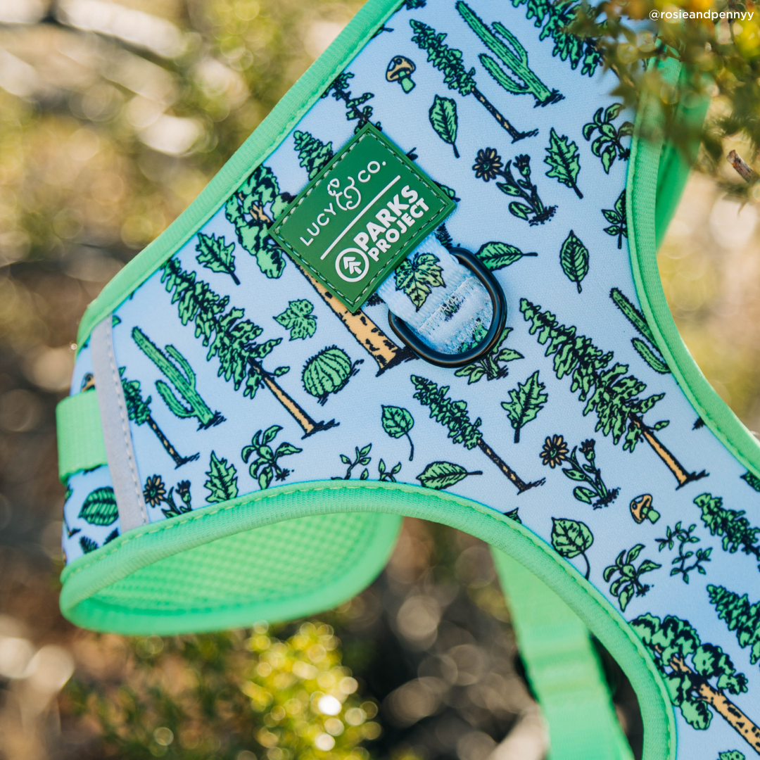 Lucy & Co. x Parks Project Feel the Earth Breathe No-Pull Harness