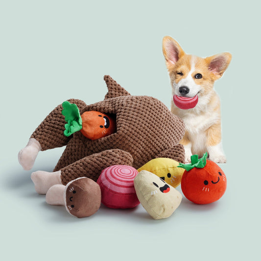 7 Piece Turkey Squeaky Dog Puzzle Toys