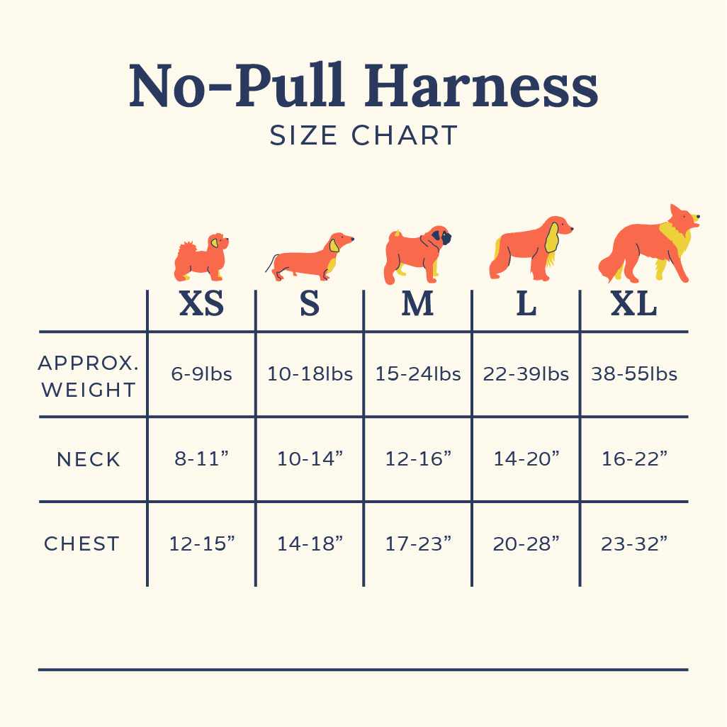 DinoROAR No-Pull Harness