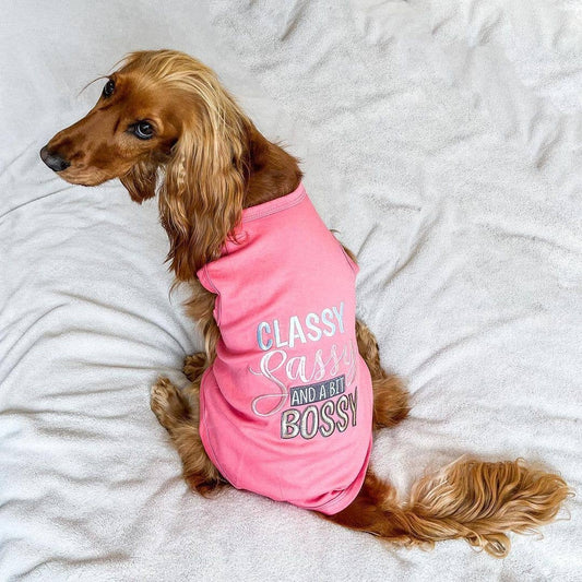 Classy Sassy and a Bit Bossy Dog T-Shirt