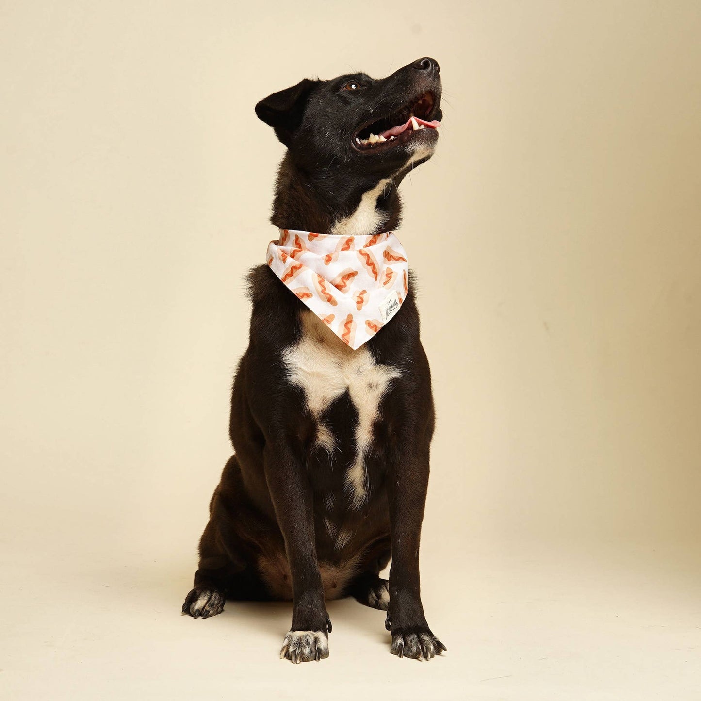Sizzle - Hotdog Dog Bandana