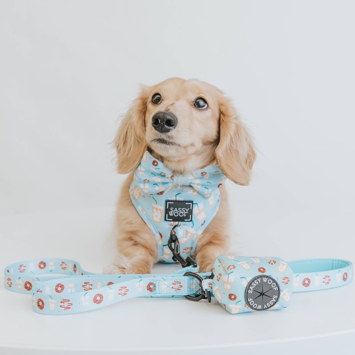 Dog Waste Bag Holder - Sweets & Pawfee