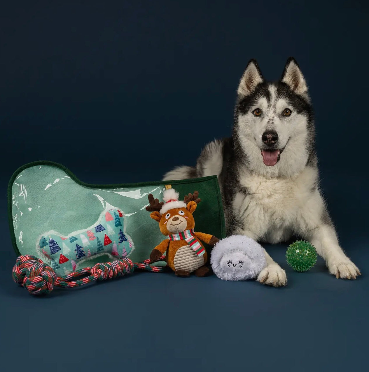 Happy Pawlidays Dog Toy-Filled Stocking