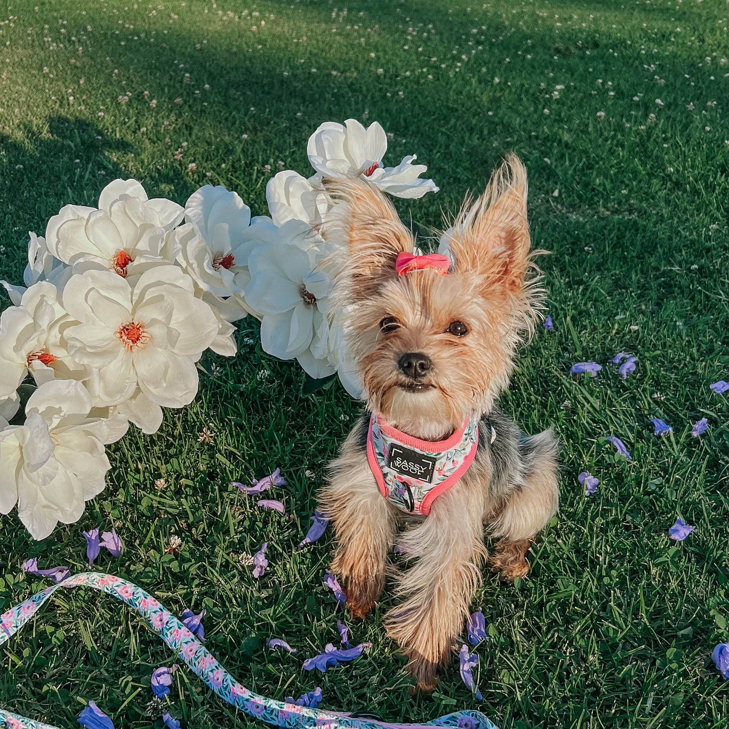 Dog Adjustable Harness - Magnolia
