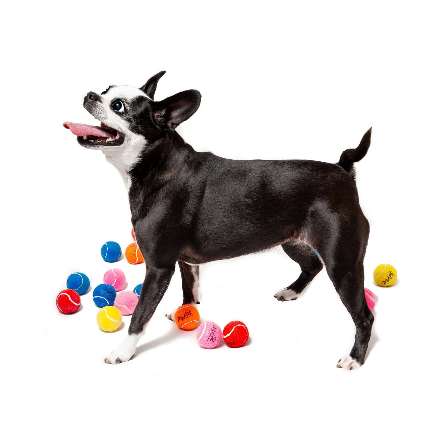 Midlee Mini Dog Tennis Balls Bulk 25-Pack (Assorted Colors)