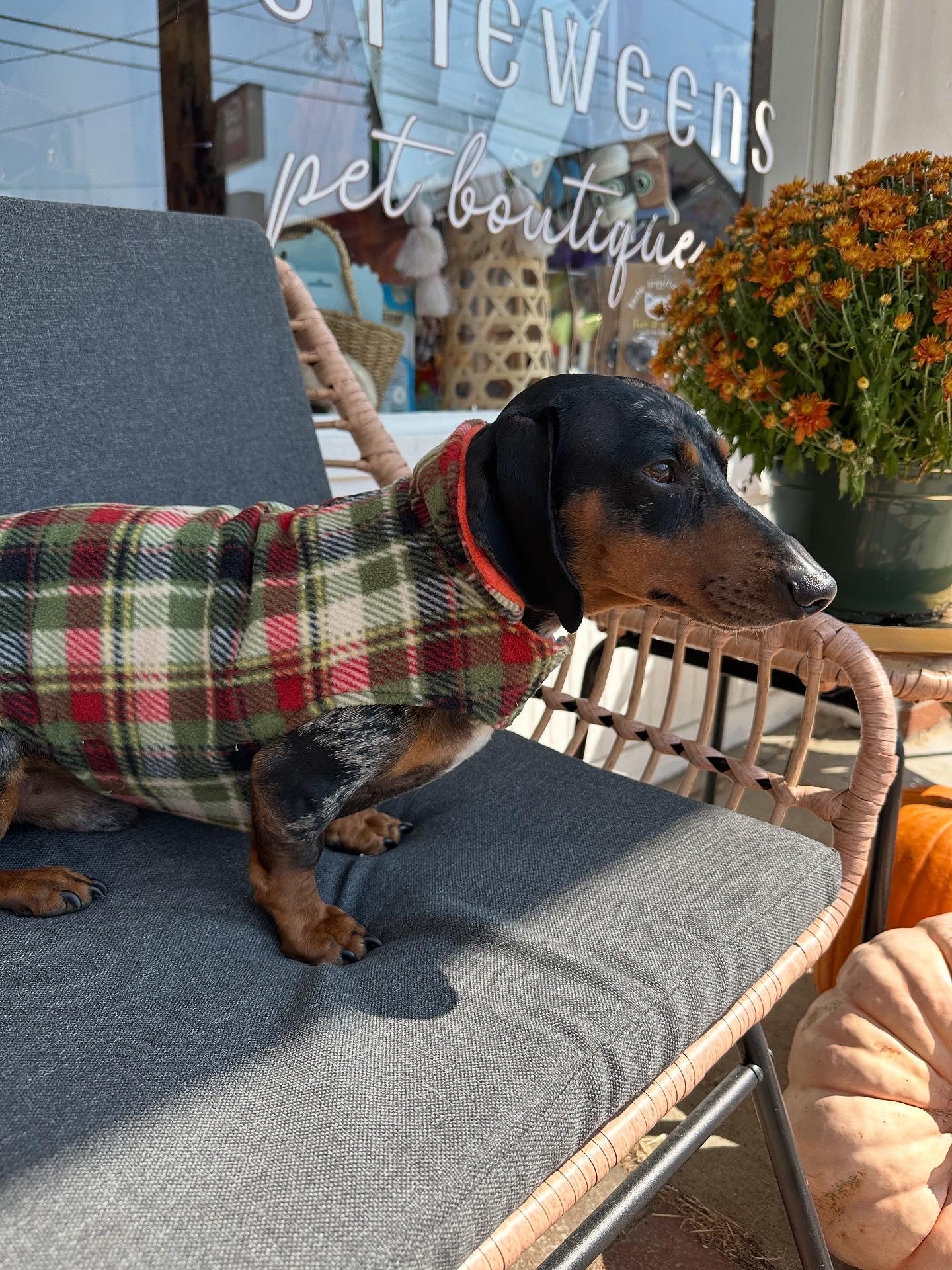 Olive and Orange Fargo Fleece Reversible Dog Jacket