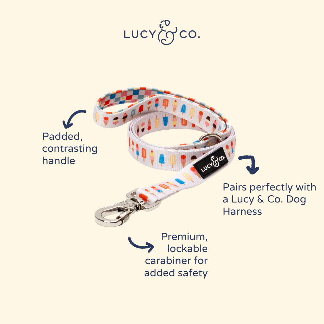Sundae Kinda Love Leash