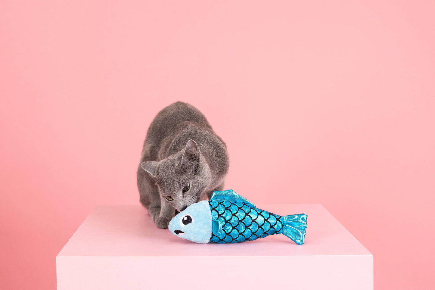 A Little Fishy