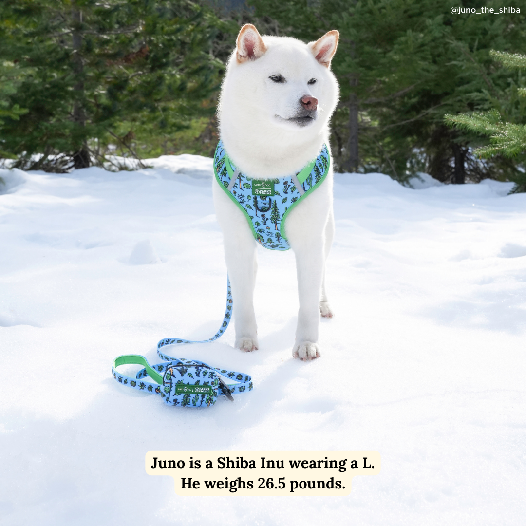 Lucy & Co. x Parks Project Feel the Earth Breathe No-Pull Harness