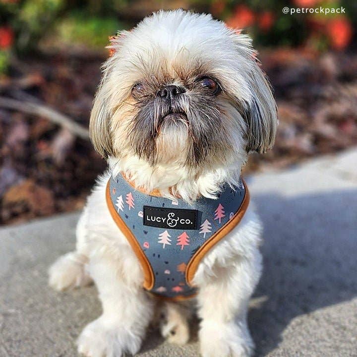 The Take a Hike Reversible Harness