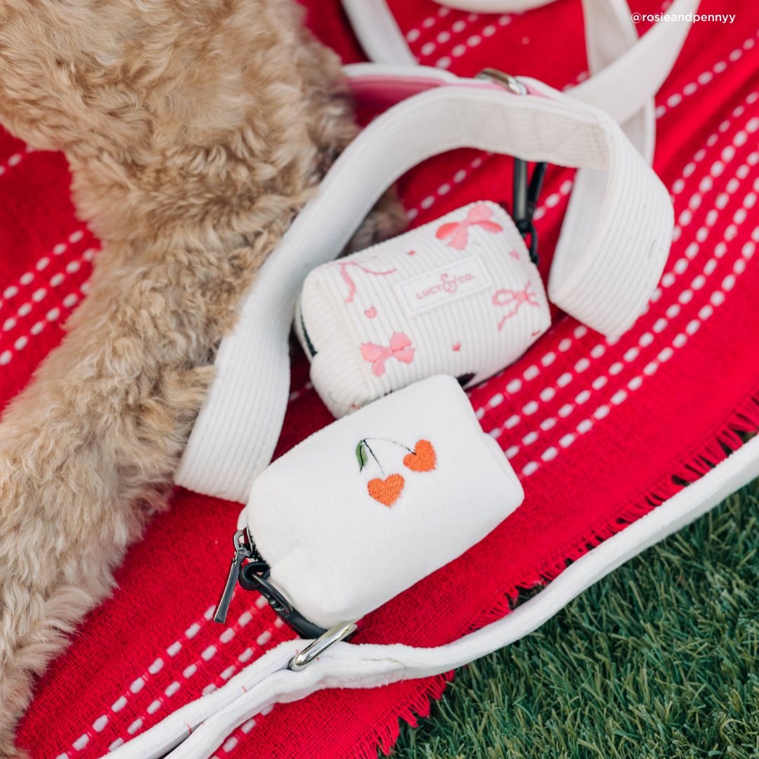 Ever So Sweet Corduroy Leash